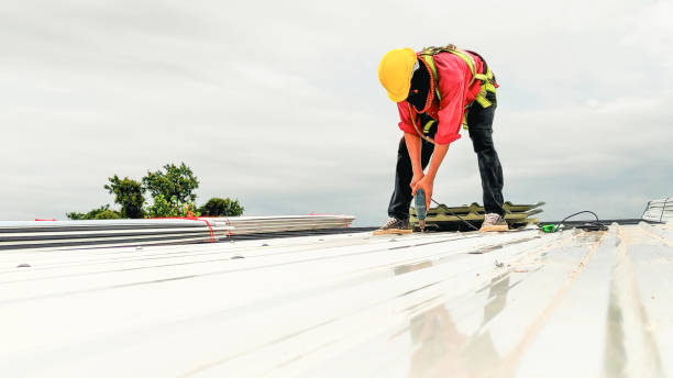 Best Roof Installation  in Old Fig Garden, CA