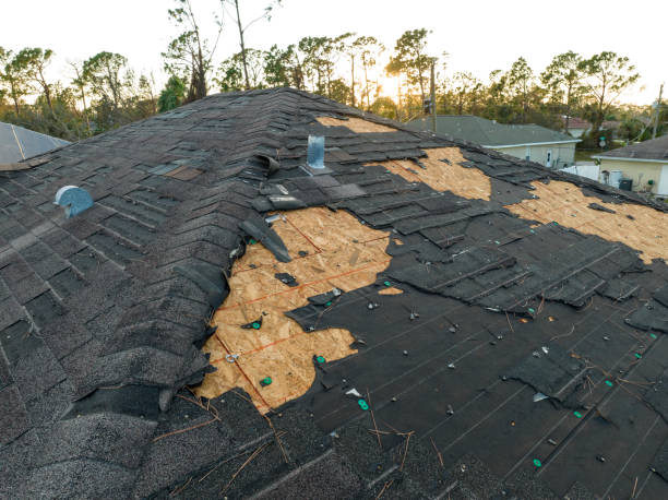 Best Commercial Roofing Services  in Old Fig Garden, CA