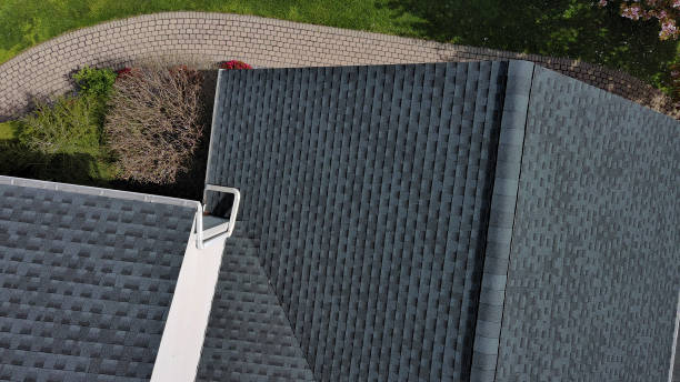 Best Roof Leak Repair  in Old Fig Garden, CA