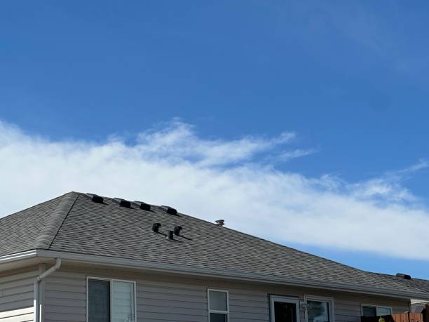 Best Emergency Roof Repair Services  in Old Fig Garden, CA